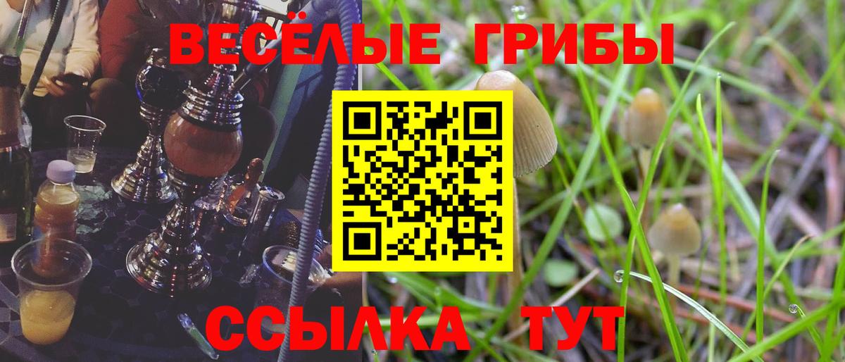 Галлюциногенные грибы мухоморы  Галлюциногенные грибы Magic Shrooms  Кохма  Вход с VPN 